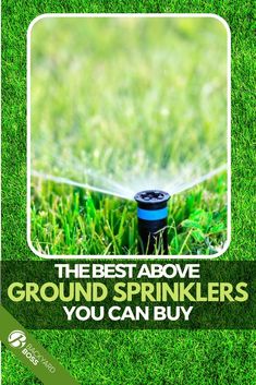 the best above ground sprinklers you can buy