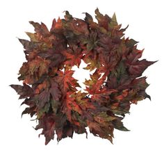 a wreath made out of leaves on a white background