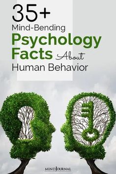 35+ Mind Bending Psychology Facts About Human Behavior Psychology Of Human Behavior, Interesting Facts About Human Psychology, Pschyology Facts, Psycology Tips Study, Psychology Tricks Life Hacks, Human Behavior Psychology Books, Phsycology Facts About Human, Human Mind Psychology, Human Psychology Facts So True