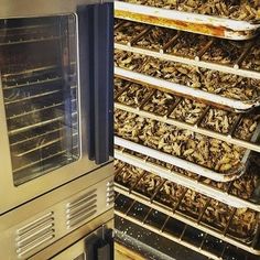 two ovens that have been covered with wood chips and are next to each other