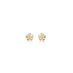 Carla Daisy Stud - 14K Yellow Gold Earrings 14K Yellow Gold Small Daisy Flower Earrings Measures: 0.265 inch wide x 0.265 inch long Jewelry Type: Stud Earrings, Daisy Earrings Metal: 14K Yellow Gold Made in the USA with a Lifetime Guarantee Carla Daisy Stud Earrings Daisy Studs, Yellow Gold Earrings, Daisy Earrings, Earrings Metal, Yellow Gold Earring, Daisy Flower, Flower Earrings, Gold Earrings, Daisy