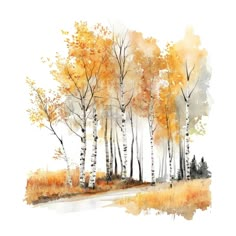 watercolor painting of trees with yellow leaves