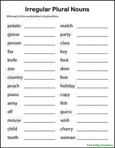 singular words worksheet for the irregular