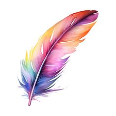 a multicolored feather on a white background