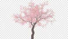 a tree with pink flowers on it in the middle of a white background png