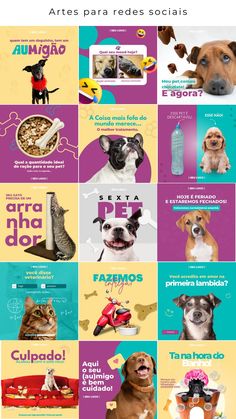 the spanish language poster shows different types of dogs and cats in various colors, sizes and shapes