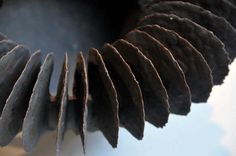 a close up view of the inside of a bird's feathered headdress