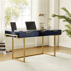 a desk with two laptops on it and a potted plant in the corner