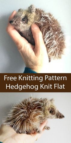 a person holding a hedgehog in their left hand with the text free knitting pattern