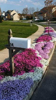 a mailbox in the middle of a flower bed with purple and white flowers around it