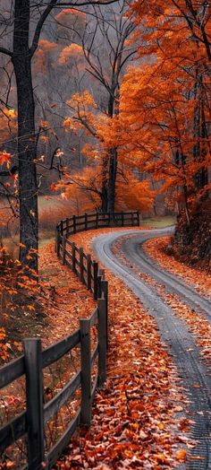 an autumn scene with leaves on the ground and a road surrounded by trees in the background