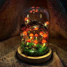 a glass jar filled with red and orange flowers on top of a wooden base covered in moss