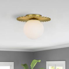 a potted plant sitting on top of a wooden table next to a white wall