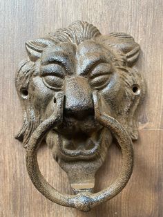 a door knockle with a lion's head on it