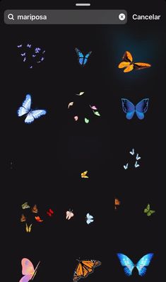 a bunch of butterflies flying in the dark