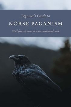 a black bird sitting on top of a tree branch with the title beginner's guide to nonsense paganism