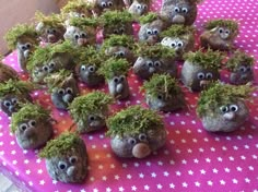 a table topped with lots of rocks covered in moss and small bushes on top of it