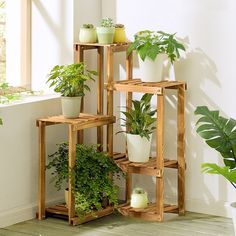 three wooden plant stands with plants in them