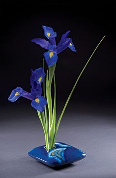 a blue vase with some purple flowers in it