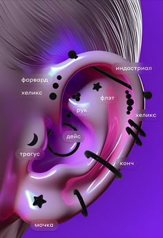 an ear with different types of piercings on the side and behind it is a purple background