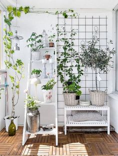 a room with plants on the wall and wooden floor