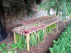 a wooden bench sitting in the middle of a garden