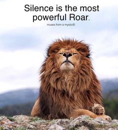 a lion sitting on top of a grass covered field with a quote above it that reads, science is the most powerful roar