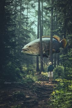 a man is flying a large fish kite in the woods