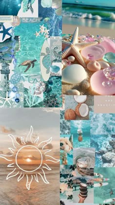 a collage of pictures with different colors and shapes on them, including shells, seashells, starfish