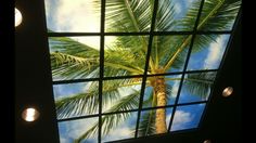 a palm tree is seen through a window in a building with blue sky and clouds