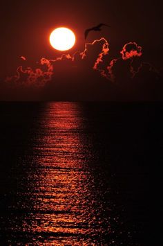 the sun is setting over the ocean with birds flying in front of it and some clouds