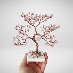 a hand holding a small tree with pink flowers on it's trunk and roots