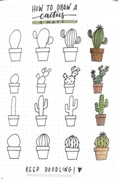 an iphone screen showing how to draw a cactus in different potted plants, including cacti and succulents