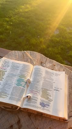 an open book sitting on top of a wooden table next to a tree stump in the grass