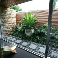 a plant in a pot sitting on top of a table next to a glass door