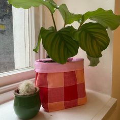 a potted plant sitting on top of a window sill