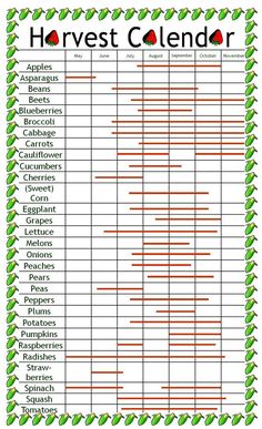 the harvest calendar is filled with fruits and vegetables, as well as numbers for each month