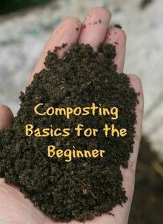 a hand holding dirt with the words composting basics for the beginner