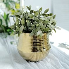 a potted plant sitting on top of a table next to silverware and napkins