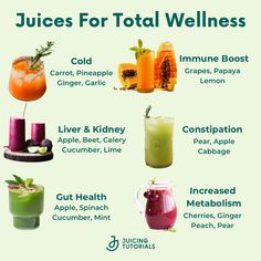 Juices for Total Wellness: Delicious Gut-Healing Recipes to Help You Look and Feel Your Best: Jui... Juices Good For Gut Health, Healthy Juices For Energy, Vitamin C Juice Immune System, Different Juices Health, Juice Recipes With Benefits, Juice To Help With Gut Health, Juices For Gut Healing, Juices To Reduce Inflammation, Juicing Recipes For Gut Healing