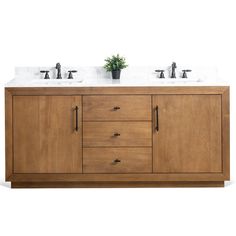 a bathroom vanity with two sinks and a potted plant