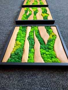 three wooden trays filled with different types of green plants and trees on top of each other