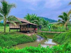 a small hut on the side of a river surrounded by lush green vegetation and palm trees