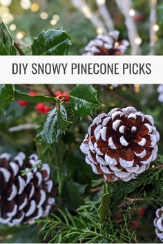 pinecone picks with text overlay that says diy snow cone picks in white and brown