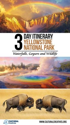 Vivid landscapes showcasing waterfalls, colorful geysers, and grazing bison perfect for a 3 Day Itinerary Yellowstone National Park: Waterfalls, Geysers & Wildlife adventure. Yellowstone National Park, Hot Springs, Wyoming, Your Dream, The Magic