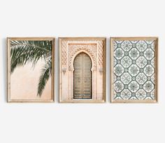 three framed art pieces with an ornate door and palm tree in the middle, on a white background