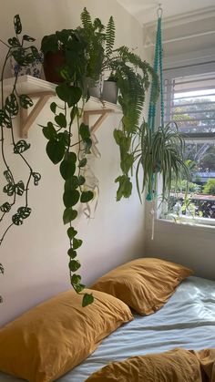 a bed with two pillows and some plants hanging on the wall above it in a bedroom