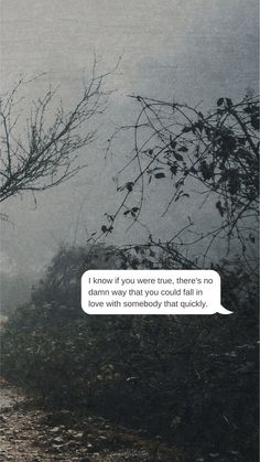 an image of a foggy day with trees in the foreground and a text bubble that reads i know if you were true, there's no damn way that you could fall in one