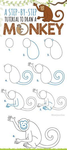 how to draw a monkey step by step instructions for children and beginners, with pictures