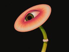 an eye peers into the center of a pink flower with green stems in front of a black background